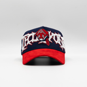 31 HATS - 31 WORLD SERIES