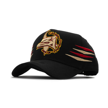 31 HATS - 31 STARS